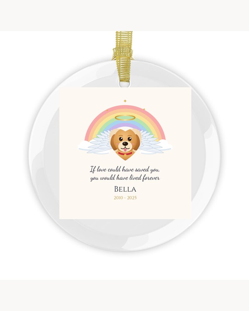Ornaments: Custom Photo Rainbow Bridge Pet Memorial Glass Ornament - Personalized Pet Memorial Sympathy Gifts For Loss Of Dog, Cat, Pet Lovers - If Love Could Have Saved You