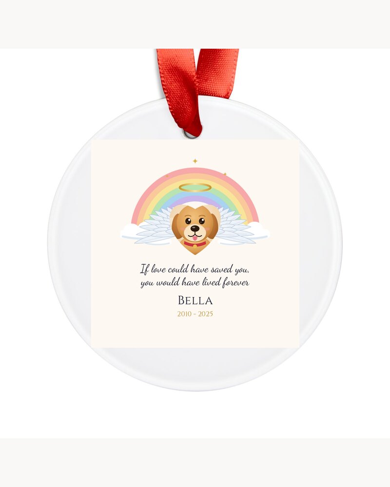 Ornaments: Custom Photo Rainbow Bridge Pet Memorial Ornament - Personalized Pet Memorial Sympathy Gifts For Loss Of Dog, Cat, Pet Lovers - If Love Could Have Saved You